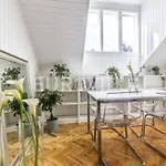 Big, Bright Apartment In The Center Of Zagreb